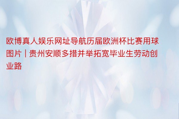 欧博真人娱乐网址导航历届欧洲杯比赛用球图片 | 贵州安顺多措并举拓宽毕业生劳动创业路