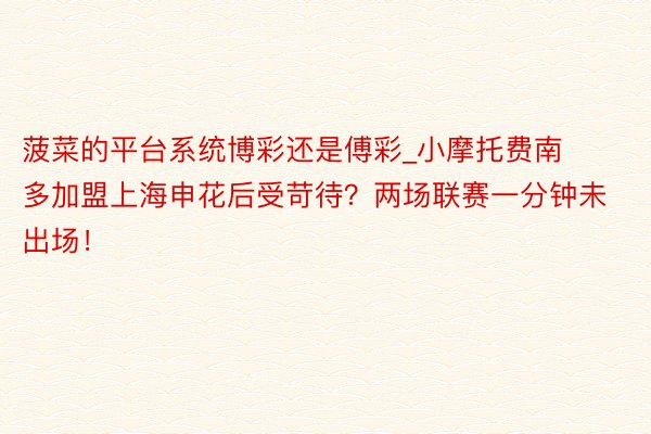 菠菜的平台系统博彩还是傅彩_小摩托费南多加盟上海申花后受苛待？两场联赛一分钟未出场！