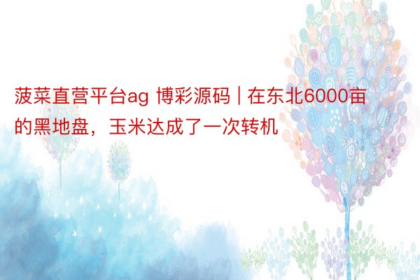 菠菜直营平台ag 博彩源码 | 在东北6000亩的黑地盘，玉米达成了一次转机