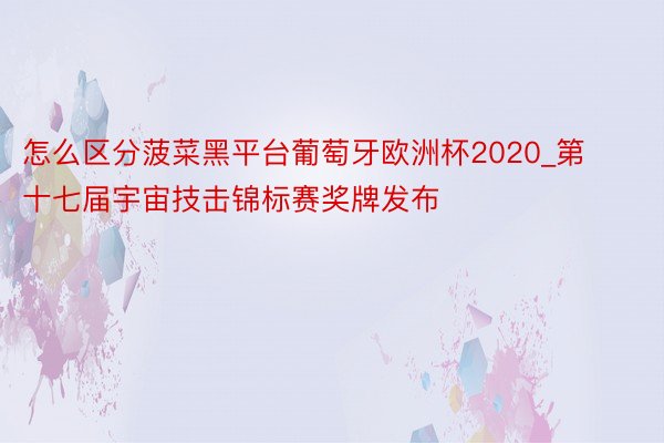 怎么区分菠菜黑平台葡萄牙欧洲杯2020_第十七届宇宙技击锦标赛奖牌发布